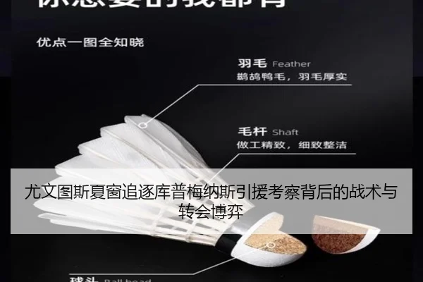 尤文图斯夏窗追逐库普梅纳斯引援考察背后的战术与转会博弈