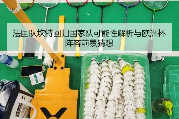 法国队坎特回归国家队可能性解析与欧洲杯阵容前景猜想