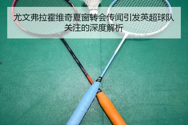 尤文弗拉霍维奇夏窗转会传闻引发英超球队关注的深度解析