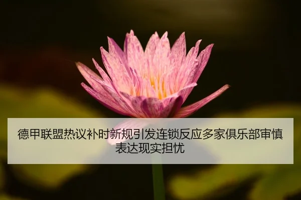 德甲联盟热议补时新规引发连锁反应多家俱乐部审慎表达现实担忧