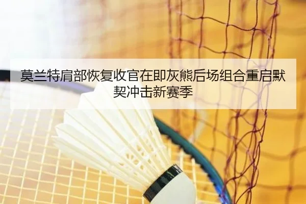 莫兰特肩部恢复收官在即灰熊后场组合重启默契冲击新赛季